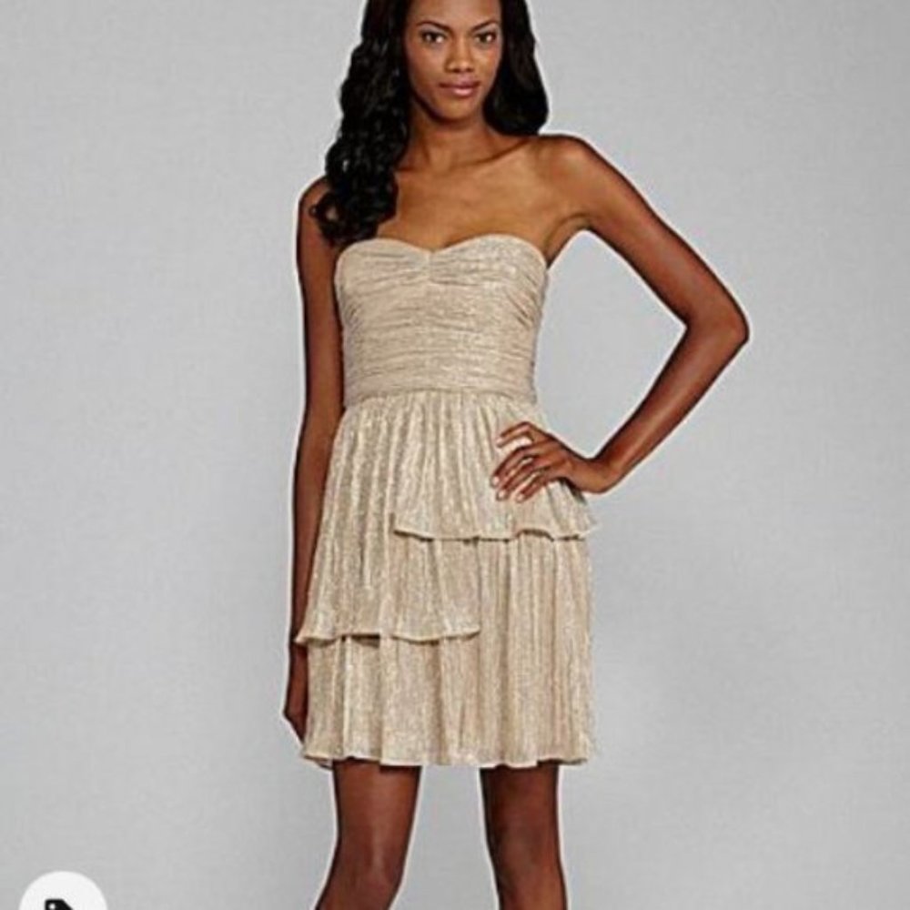 Max & Cleo Rebecca Ruched Metallic Strapless Dress